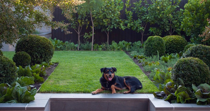 Gardening Sydney